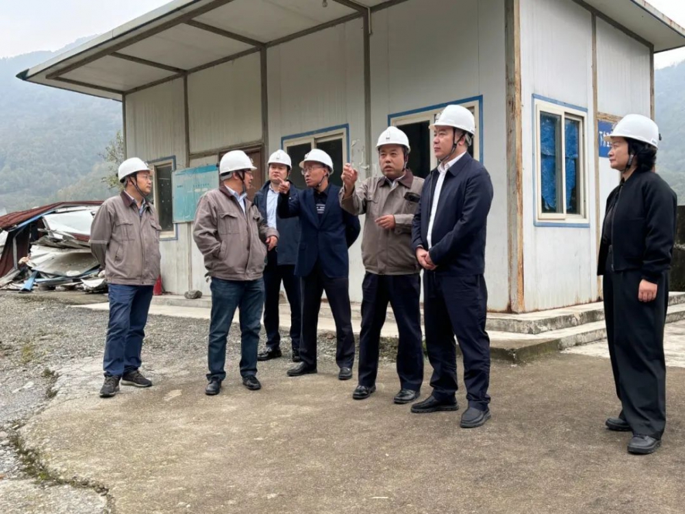 莫勇到煎茶岭镍业调研